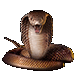 Item bangkok attackcobra b.gif