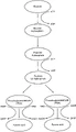Glycolysis.jpg