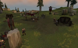 Thorvald's Camp