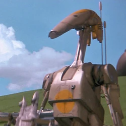OOM-9.jpg