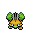 Grotle mini