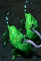 Chameleons.jpg