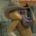 Darla.jpg