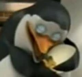 Eggy1.jpg