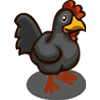 Image:Black Chicken-icon.png