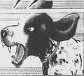 Luke english pointer.jpg