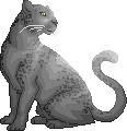 Pantheradult.png