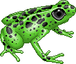 Froggreenadult.gif