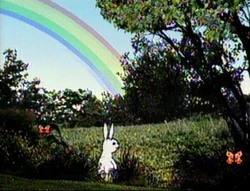 RabbitWeather