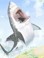 Shark.jpg