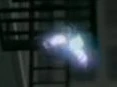 Firefly.jpg