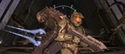 Chiefarbiter