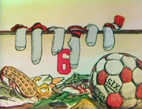 6SoccerSocks.jpg