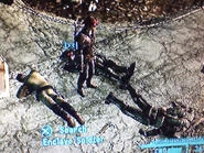 User Chipgambino 3