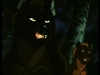 Koga ninja dogs
