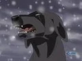 Bat in blizzard.jpg