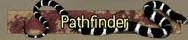 Pathfinder How To Get Titles and Emblems in Modern Warfare 2