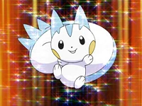 EP588 Pachirisu de Dawn