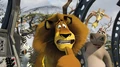 Madagascar2pic12.jpg