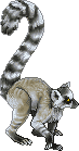 Lightrazanlemuradult.gif
