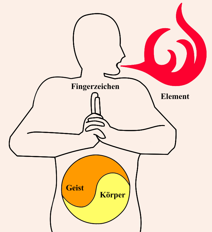 Naruto Jutsu Des Vertrauten Geistes Jutsu-Guide – Narutopedia - Naruto, Naruto Shippuuden, Sasuke, Kakashi