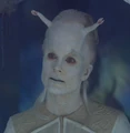Lissan.jpg