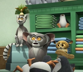 Zoovenier1
