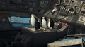 Penguins05.jpg