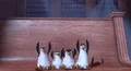 Penguins01.jpg