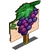 Grape