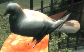 FlyingRat-GTA4