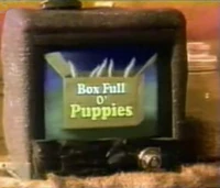 BoxFullOPuppies