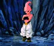 KidBuuDBZ