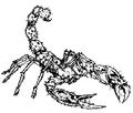 Thumbnail for version as of 12:11, February 5, 2010