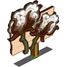 Cotton