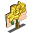 Daffodils