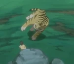 Kanashibar1