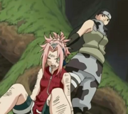 Sasukravssoundtrio