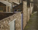 Backyards