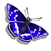 Emperor Butterfly-icon.png