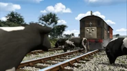 Toby'sNewWhistle30