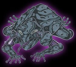 Surplice - Frog