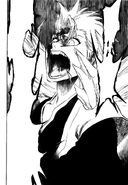 Hitsugaya's Rage