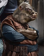 Gryph-KotOR50