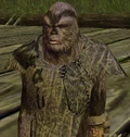 Chrilooc.jpg
