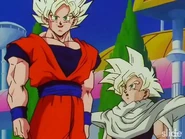 Gokugohan fin