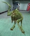 Pit Drone BM