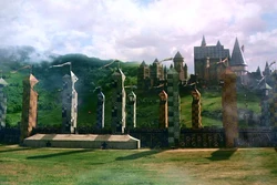 Terrain de Quidditch