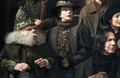 Pince Quidditch.jpg