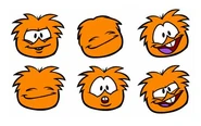 Orange Puffle Pics